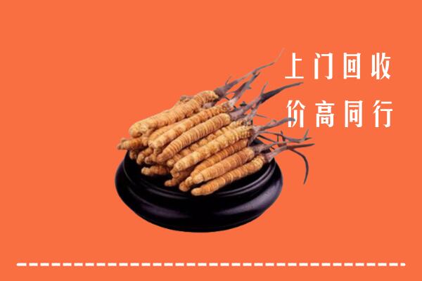 高价求购：宁波市慈溪回收散虫草